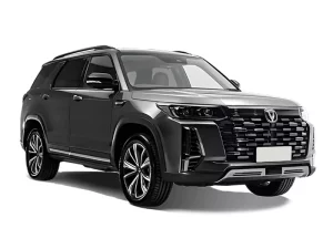 CS95 (II) новый